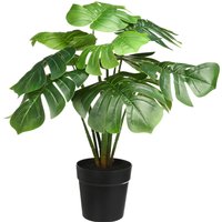 Monstera im Topf ca. 55cm, grün von DEPOT