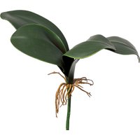 Orchideenblätter ca. 25cm von DEPOT