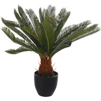 Palme i.Topf ca.72cm, grün von DEPOT