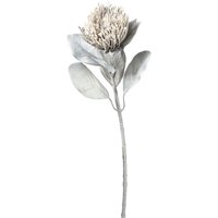 Protea ca.65cm, hellgrau von DEPOT