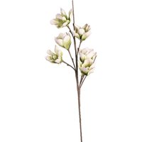 Softflower Magnolie ca. 102cm von DEPOT