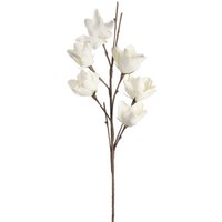 Softflower Magnolie ca. 102cm von DEPOT