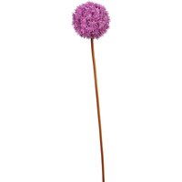 Stielblume ALLIUM ca.90cm, magenta von DEPOT