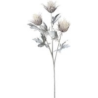 Stielblume Distel ca.67cm, hellgrau von DEPOT