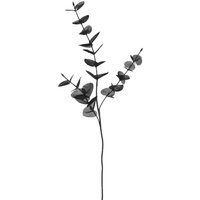 Stielblume EUKALYPTUS ca.68cm, schwarz von DEPOT