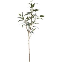 Stielblume Eukalyptus ca.120cm, grün von DEPOT