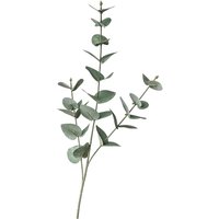 Stielblume EUKALYPTUS ca.68cm, grün von DEPOT