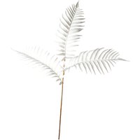 Stielblume Farn Pale ca. 75cm von DEPOT