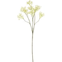 Stielblume Gypsophilia ca. 70cm von DEPOT