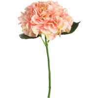 Stielblume HORTENSIE ca.40cm, rosa von DEPOT