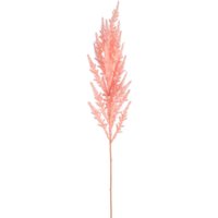 Stielblume PAMPAS ca.60cm, rosa von DEPOT