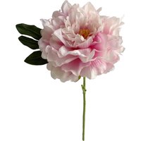 Stielblume PEONIE ca.31cm, rosa von DEPOT