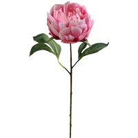 Stielblume PFINGSTROSE ca.45cm, rosa von DEPOT