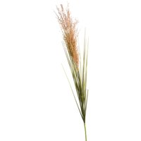 Stielblume PAMPAS ca.80cm, grün von DEPOT