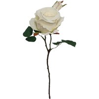 Stielblume ROSE ca. 45cm, weiss von DEPOT