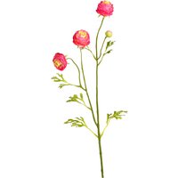 Stielblume Ranunkel ca.66cm, pink von DEPOT