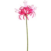 Stielblume SPINNENLILIE ca.92cm, pink von DEPOT