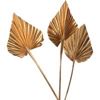 Trockenblume PALMLEAF ca.40cm 3Stk, gold von DEPOT