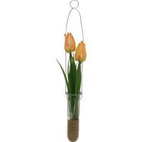 Tulpe i. Reagenzglas ca. 28cm, orange von DEPOT