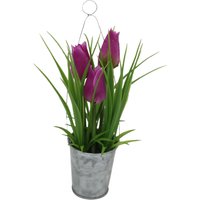 Tulpe i.Topf m. Metallhänger ca.20 ,lila von DEPOT