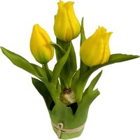 Tulpe im Blatttopf ca. 20cm, gelb von DEPOT