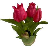 Tulpe im Blatttopf ca. 20cm, kirschrot von DEPOT