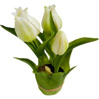Tulpe im Blatttopf ca. 20cm, weiss von DEPOT