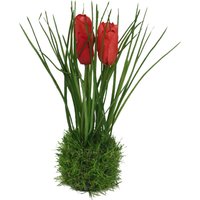 Tulpe im Grasball ca. 24cm, rot von DEPOT