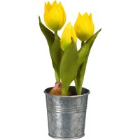 Tulpe im Zinktopf ca.20cm, gelb von DEPOT