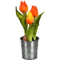 Tulpe im Zinktopf ca.20cm, orange von DEPOT