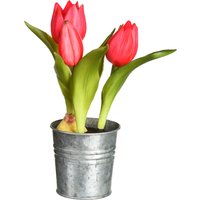 Tulpe im Zinktopf ca.20cm, pink von DEPOT