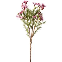 Wachsblumenbund ca. 27cm von DEPOT