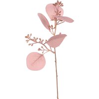 Zweig Eukalyptus, L:27cm, rosa von DEPOT
