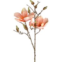 Zweig Magnolie ca. 81cm, pfirsich von DEPOT