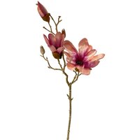 Zweig Magnolie ca.48cm, roségold von DEPOT