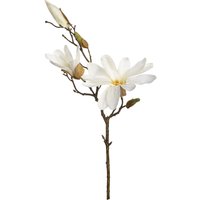Zweig Magnolie ca.48cm, weiss von DEPOT