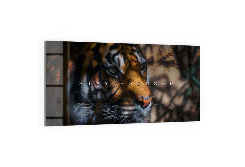 DEQOART Magnettafel 'Fokus des Raubtiers', Whiteboard Pinnwand beschreibbar von DEQOART