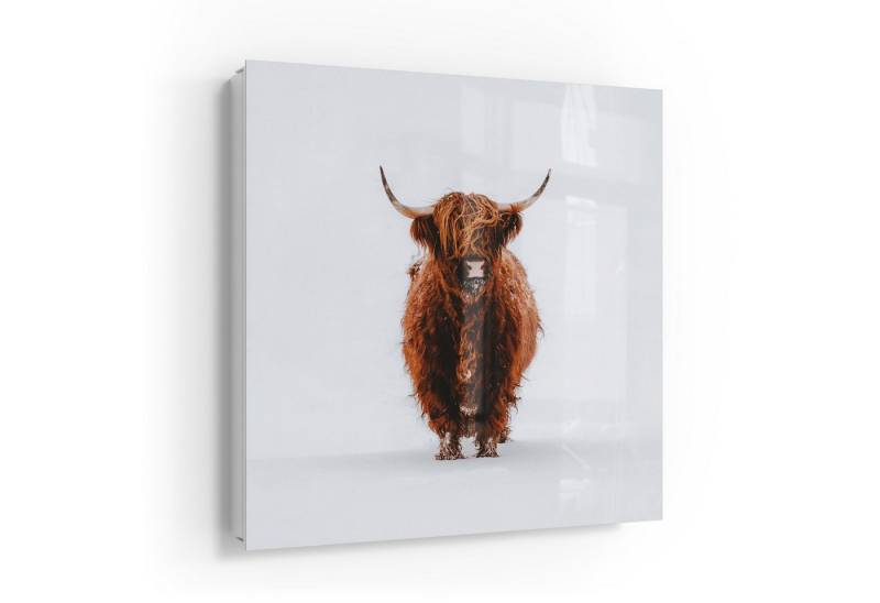 DEQOART Schlüsselkasten 'Wildes Hochland', Glas Schlüsselbox modern magnetisch beschreibbar von DEQOART
