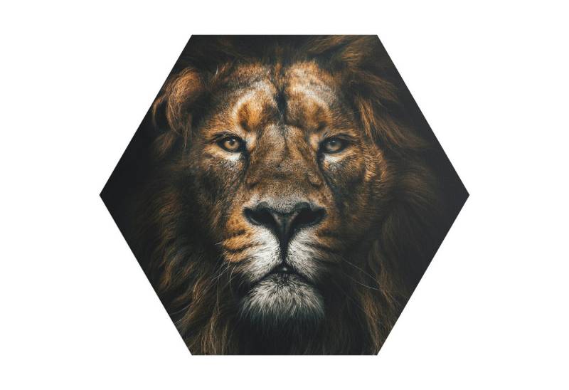 DEQORI Fototapete 'Der König im Schatten', Sechseckig, matte Leinwandstruktur, bedruckt, (1 St), selbstklebend Wandtattoo Motiv Wandtapete Wand Sticker Bild Tapete von DEQORI