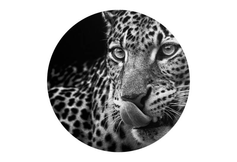 DEQORI Fototapete 'Der hungrige Blick', Rund, matte Leinwandstruktur, bedruckt, (1 St), selbstklebend Wandtattoo Motiv Wandtapete Wand Sticker Bild Tapete von DEQORI