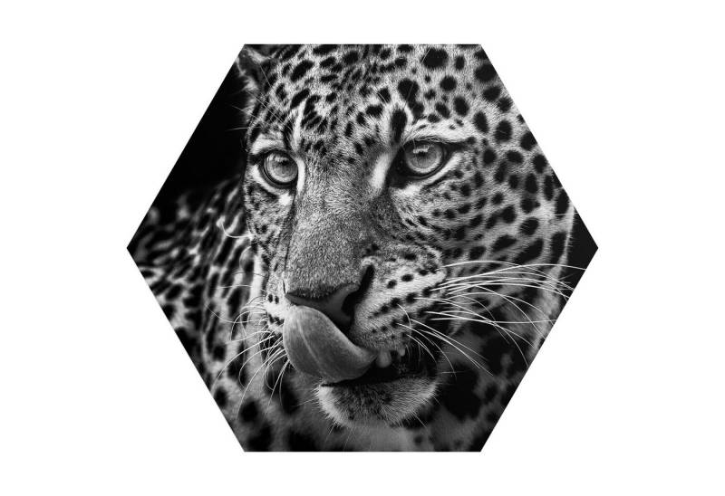 DEQORI Fototapete 'Der hungrige Blick', Sechseckig, matte Leinwandstruktur, bedruckt, (1 St), selbstklebend Wandtattoo Motiv Wandtapete Wand Sticker Bild Tapete von DEQORI