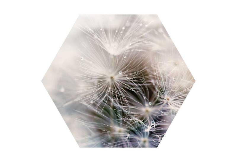 DEQORI Fototapete 'Detailaufnahme Pusteblume', Sechseckig, matte Leinwandstruktur, bedruckt, (1 St), selbstklebend Wandtattoo Motiv Wandtapete Wand Sticker Bild Tapete von DEQORI