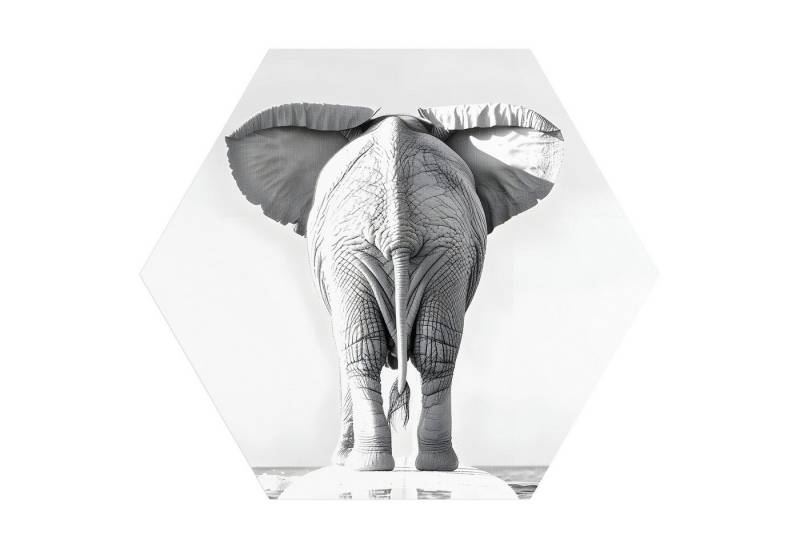 DEQORI Fototapete 'Elefant auf Kurs', Sechseckig, matte Leinwandstruktur, bedruckt, (1 St), selbstklebend Wandtattoo Motiv Wandtapete Wand Sticker Bild Tapete von DEQORI