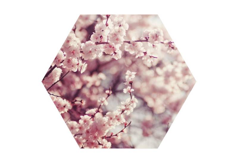 DEQORI Fototapete 'Kirschblütenzweige', Sechseckig, matte Leinwandstruktur, bedruckt, (1 St), selbstklebend Wandtattoo Motiv Wandtapete Wand Sticker Bild Tapete von DEQORI