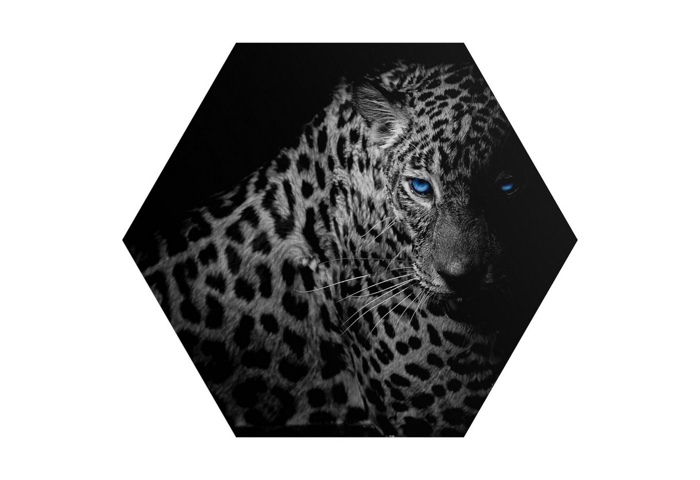 DEQORI Fototapete 'Leopard mit blauen Augen', Sechseckig, matte Leinwandstruktur, bedruckt, (1 St), selbstklebend Wandtattoo Motiv Wandtapete Wand Sticker Bild Tapete von DEQORI