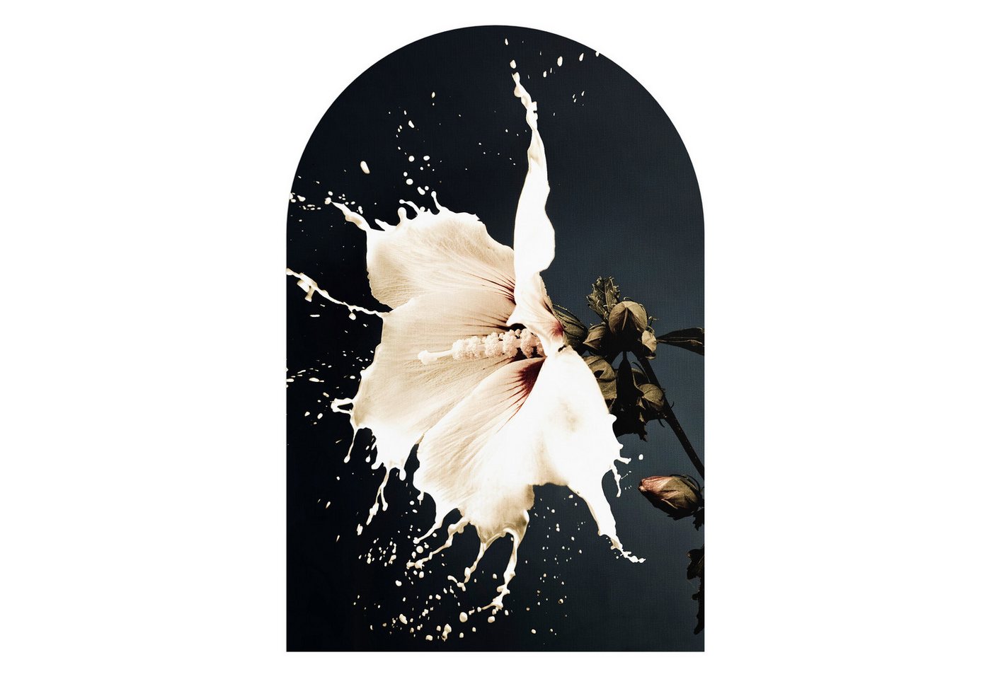 DEQORI Fototapete 'Milchige Blüte', Rundbogen, matte Leinwandstruktur, bedruckt, (1 St), selbstklebend Wandtattoo Motiv Wandtapete Wand Sticker Bild Tapete von DEQORI
