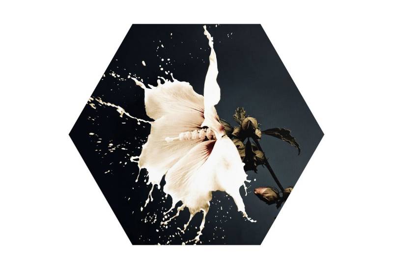 DEQORI Fototapete 'Milchige Blüte', Sechseckig, matte Leinwandstruktur, bedruckt, (1 St), selbstklebend Wandtattoo Motiv Wandtapete Wand Sticker Bild Tapete von DEQORI