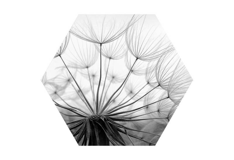 DEQORI Fototapete 'Pusteblume Nahaufnahme', Sechseckig, matte Leinwandstruktur, bedruckt, (1 St), selbstklebend Wandtattoo Motiv Wandtapete Wand Sticker Bild Tapete von DEQORI
