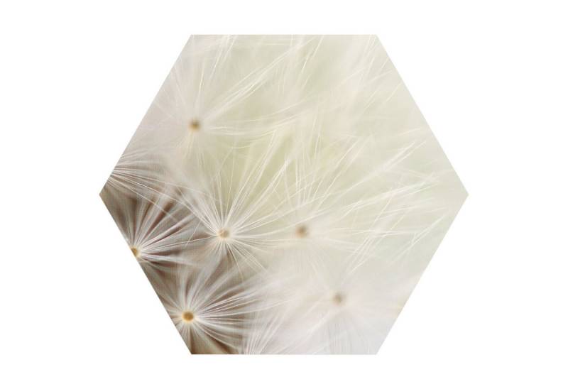 DEQORI Fototapete 'Pusteblume ganz nah', Sechseckig, matte Leinwandstruktur, bedruckt, (1 St), selbstklebend Wandtattoo Motiv Wandtapete Wand Sticker Bild Tapete von DEQORI