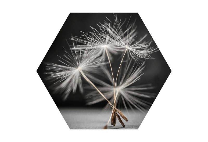 DEQORI Fototapete 'Samen der Pusteblume', Sechseckig, matte Leinwandstruktur, bedruckt, (1 St), selbstklebend Wandtattoo Motiv Wandtapete Wand Sticker Bild Tapete von DEQORI